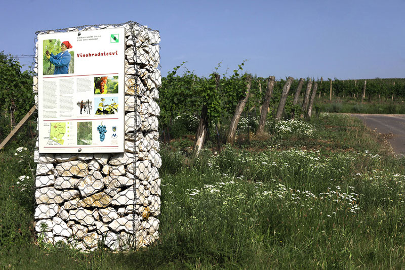 vinařství Marcinčák - Naučná stezka Stará hora